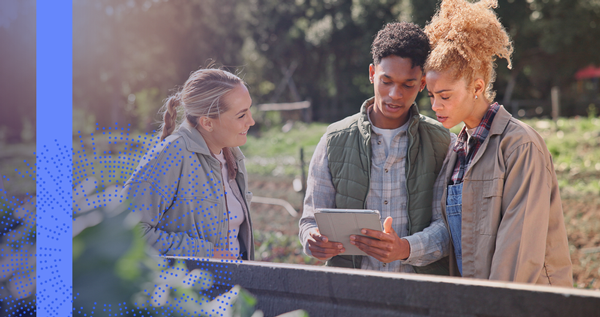 Young researchers in the field